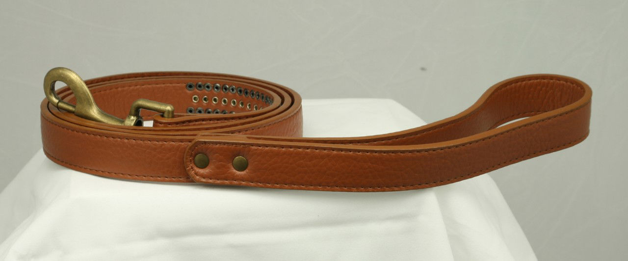 Picture of Red Diamond Winston Leash.