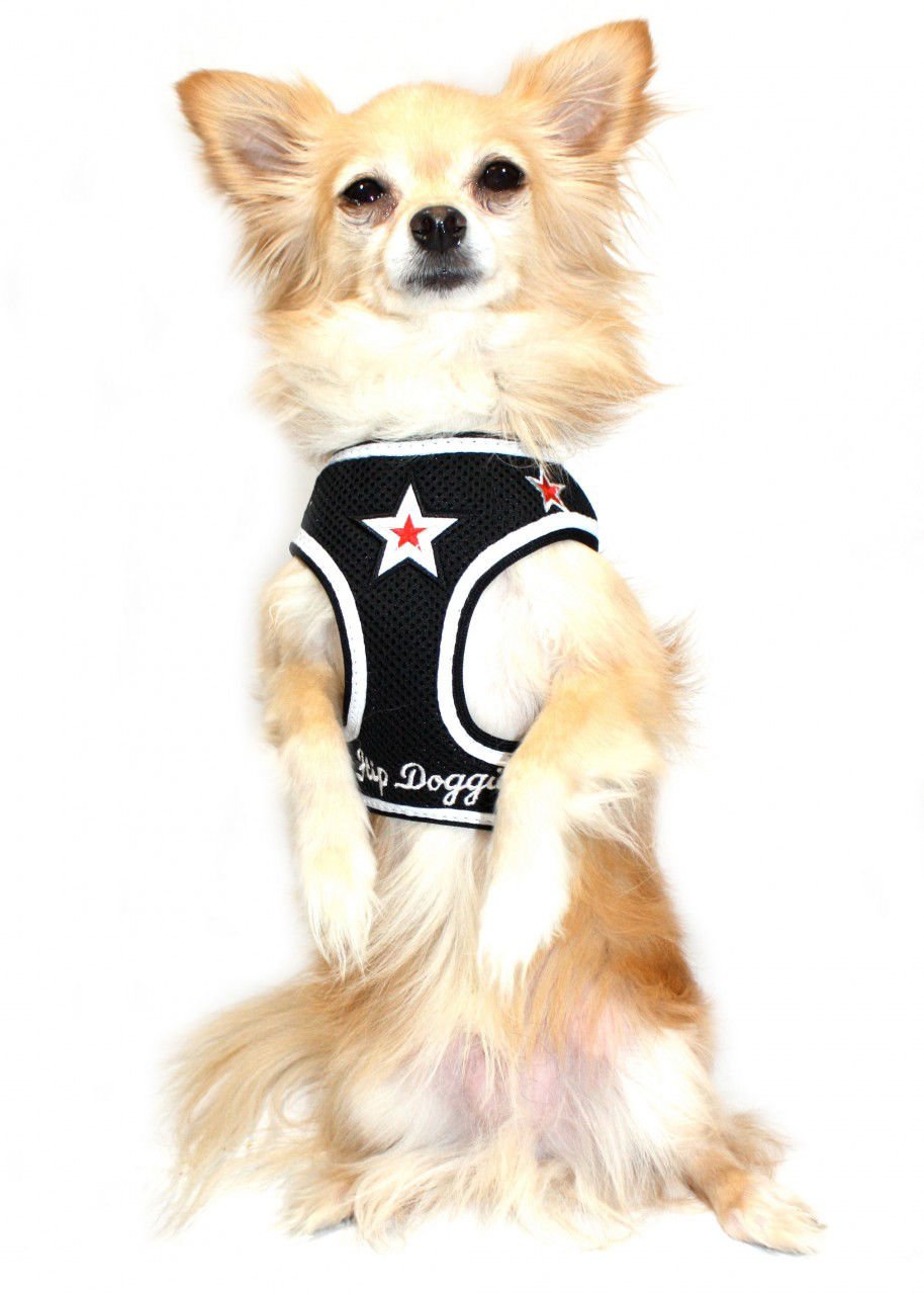 Picture of Super Star Mesh Harness Black.