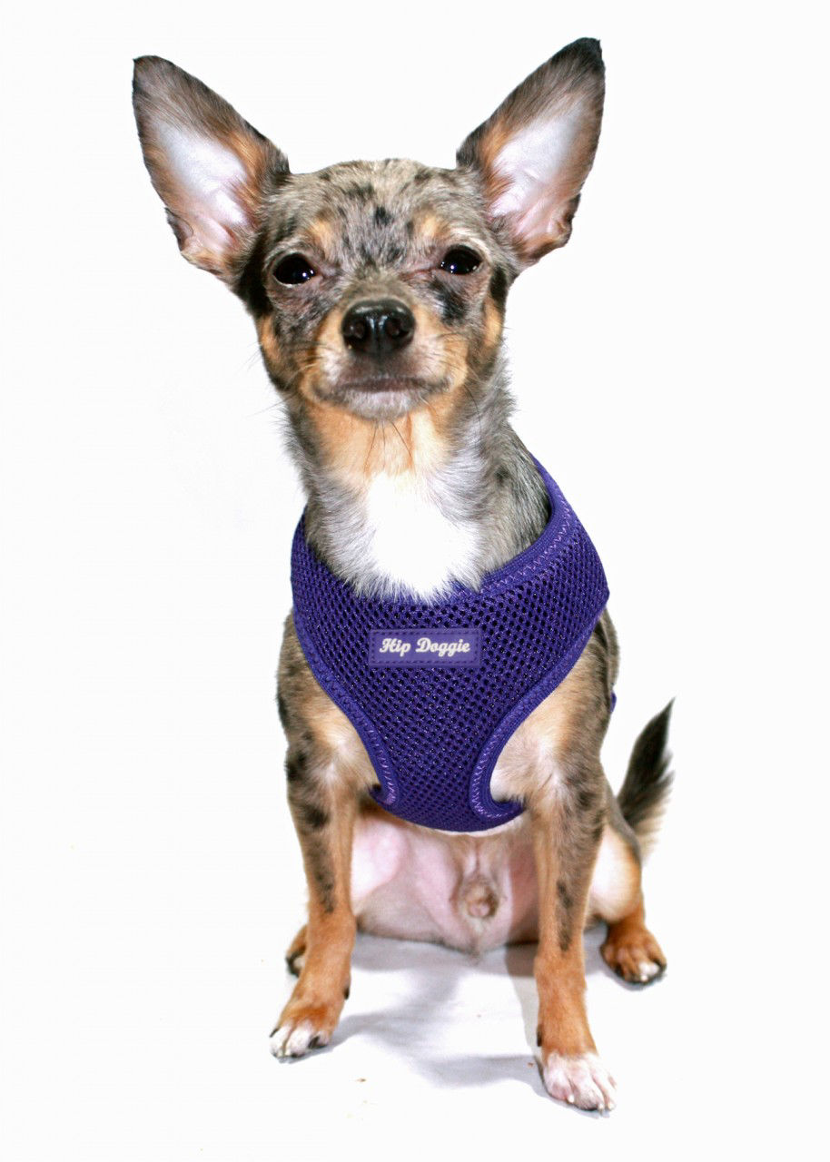 Picture of OLD STYLE - Ultra Comfort Purple Mesh Harness Vest