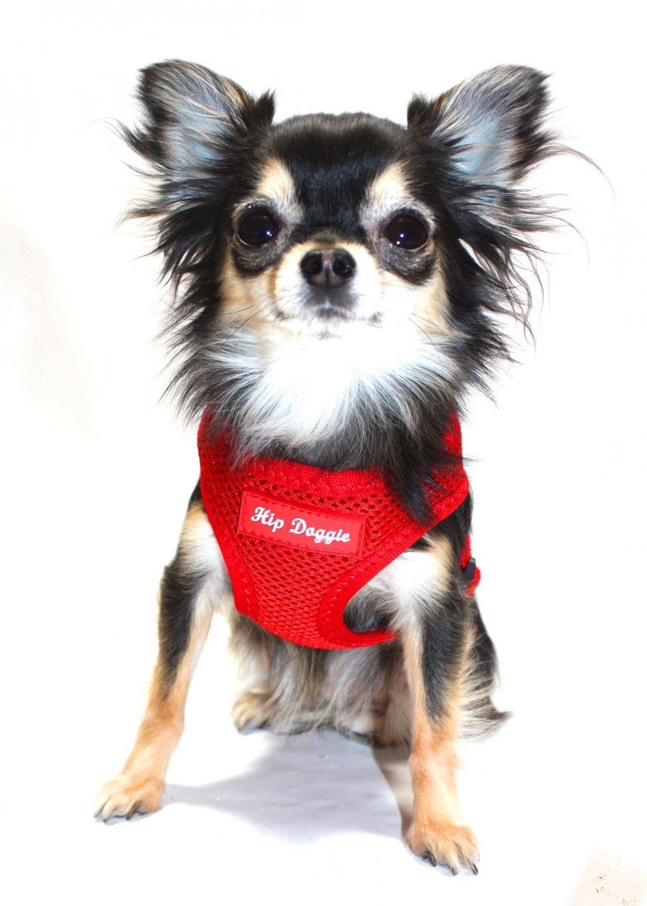 Picture of OLD STYLE - Ultra Comfort Red Mesh Harness Vest