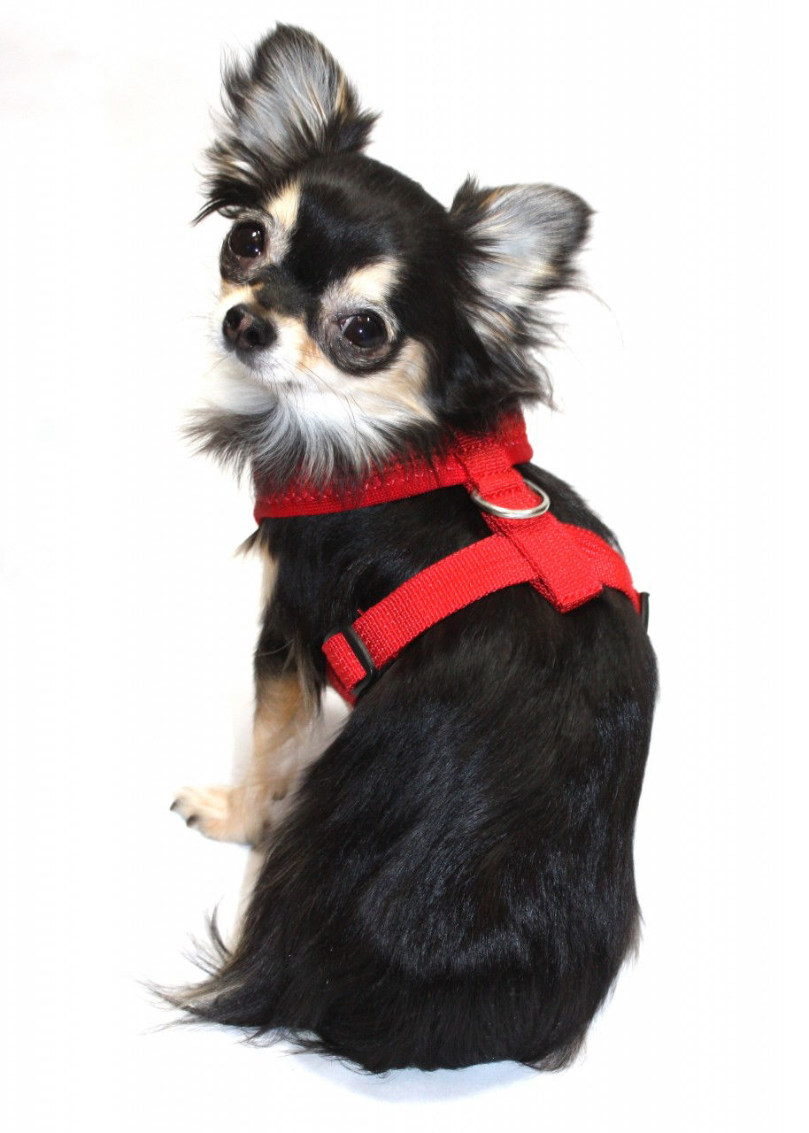 Picture of OLD STYLE - Ultra Comfort Red Mesh Harness Vest