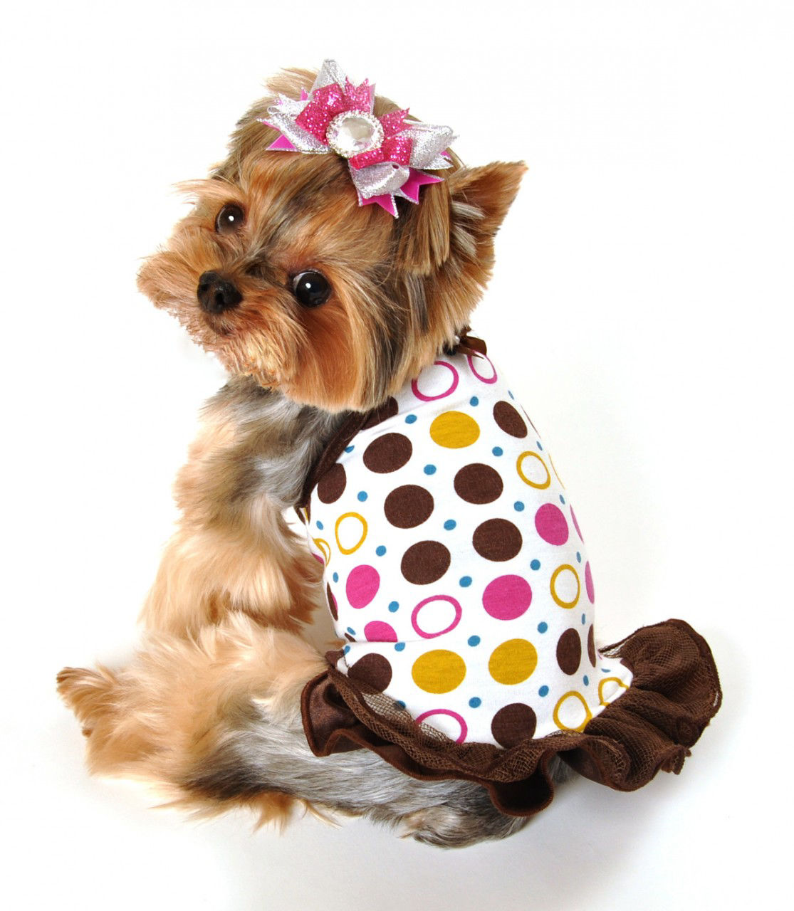 Picture of Polka Dot Party Dress.