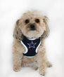 Picture of Dallas Cowboys Dog Harness Vest.