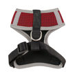 Picture of Tampa Bay Buccaneers Dog Harness Vest.