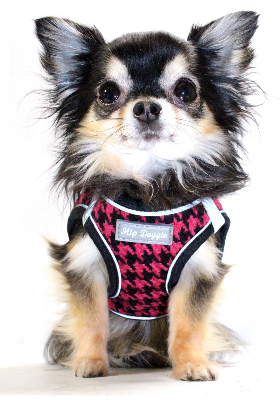 Picture of EZ Reflective Harness Vest - Houndstooth  - Pink/Black