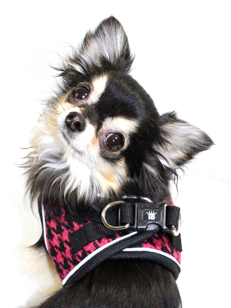 Picture of EZ Reflective Harness Vest - Houndstooth  - Pink/Black