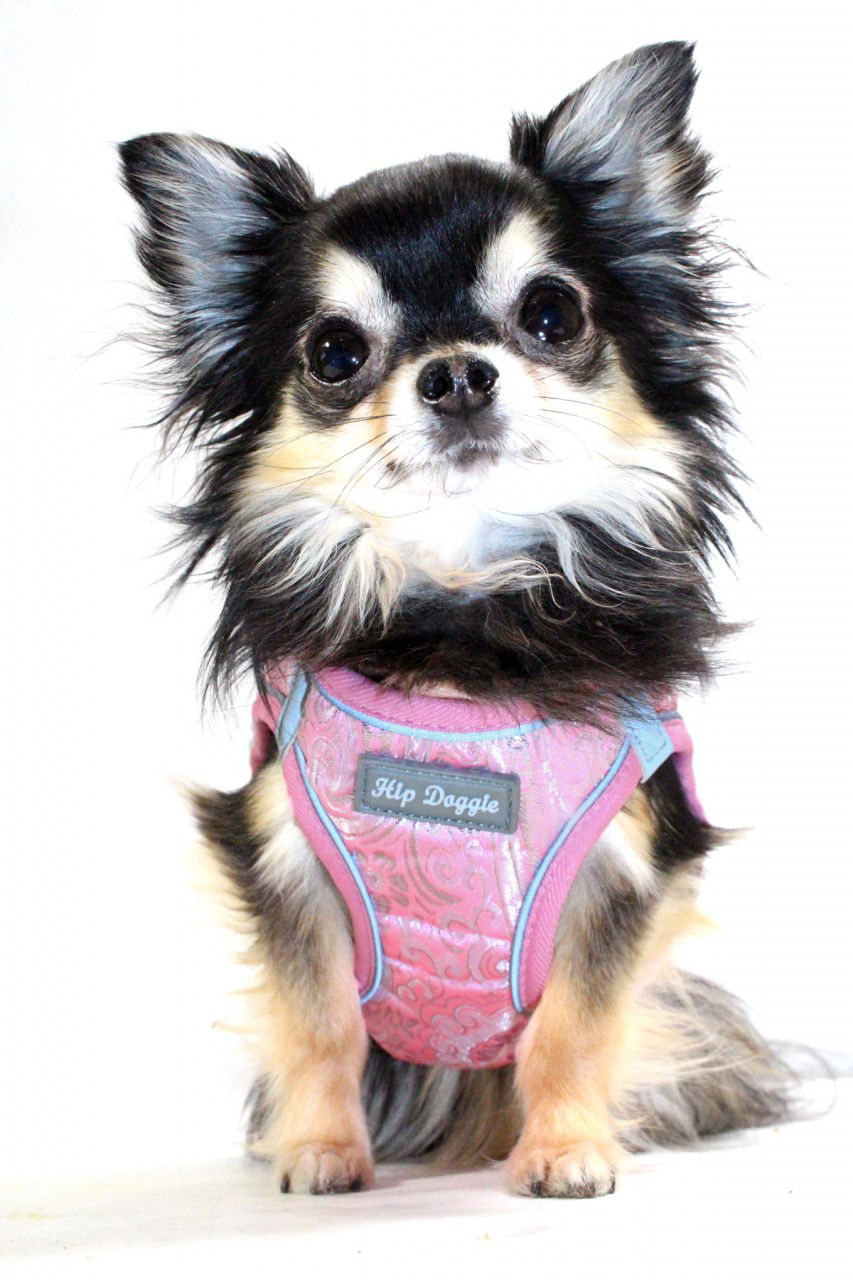 Picture of EZ Reflective Royal Elegance Harness Vest - Pink.