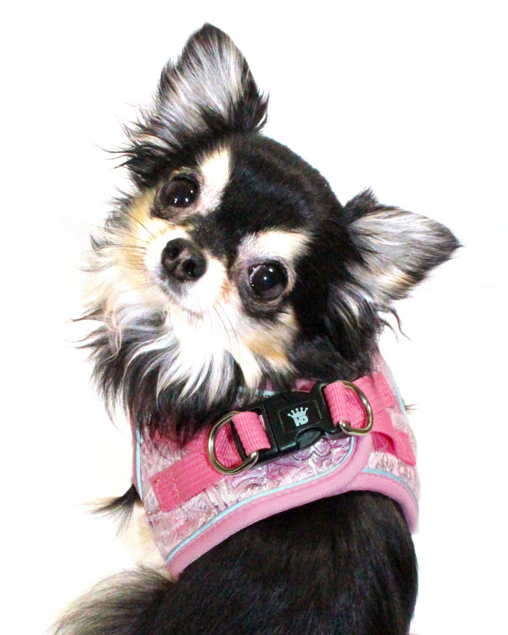 Picture of EZ Reflective Royal Elegance Harness Vest - Pink.