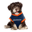 Picture of NFL Performance Tee - BRONCOS