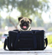 Picture of Hemp Eco Pet Carrier