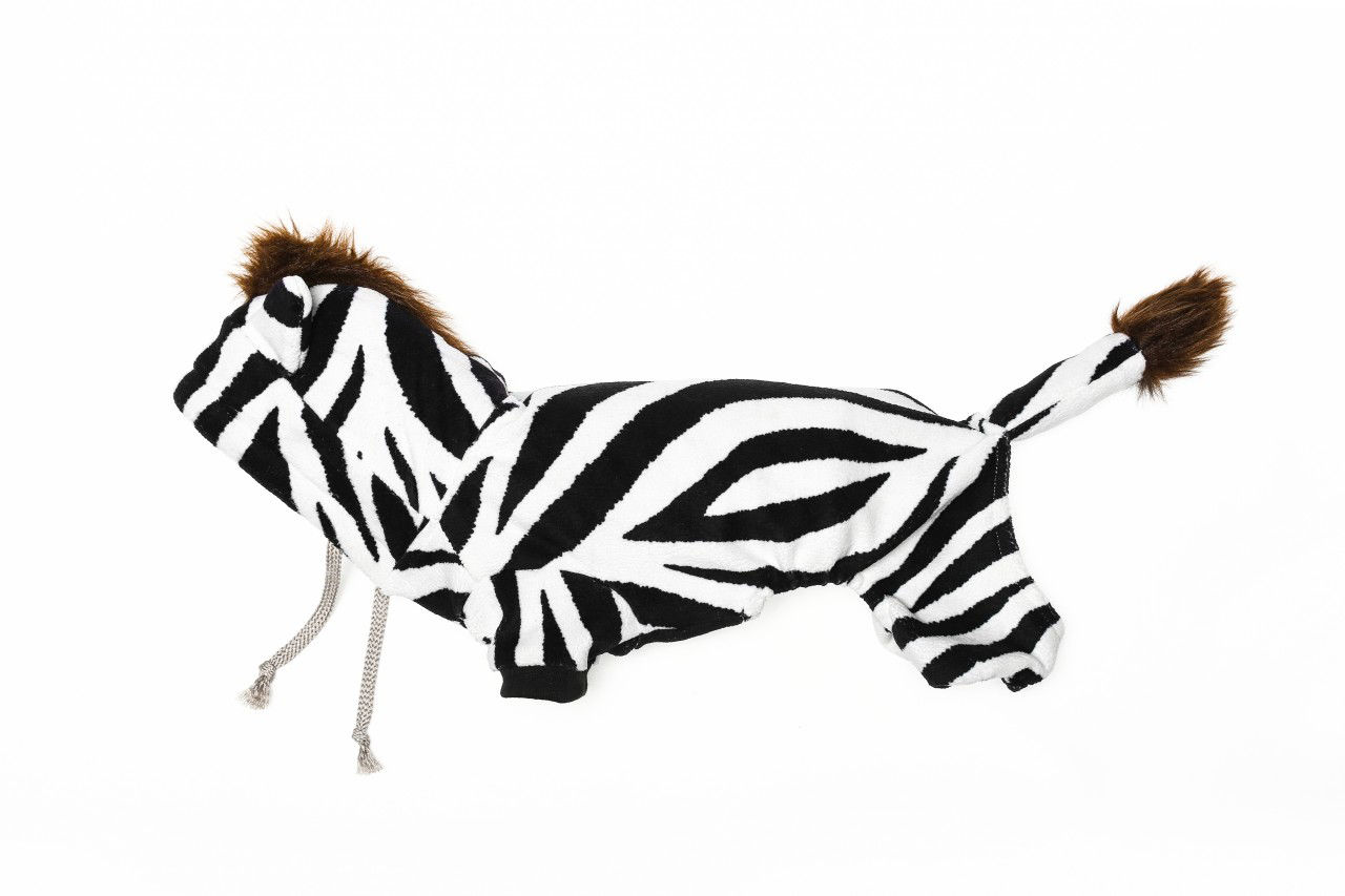 Picture of Zebra Costume