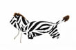 Picture of Zebra Costume