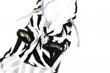 Picture of Zebra Costume