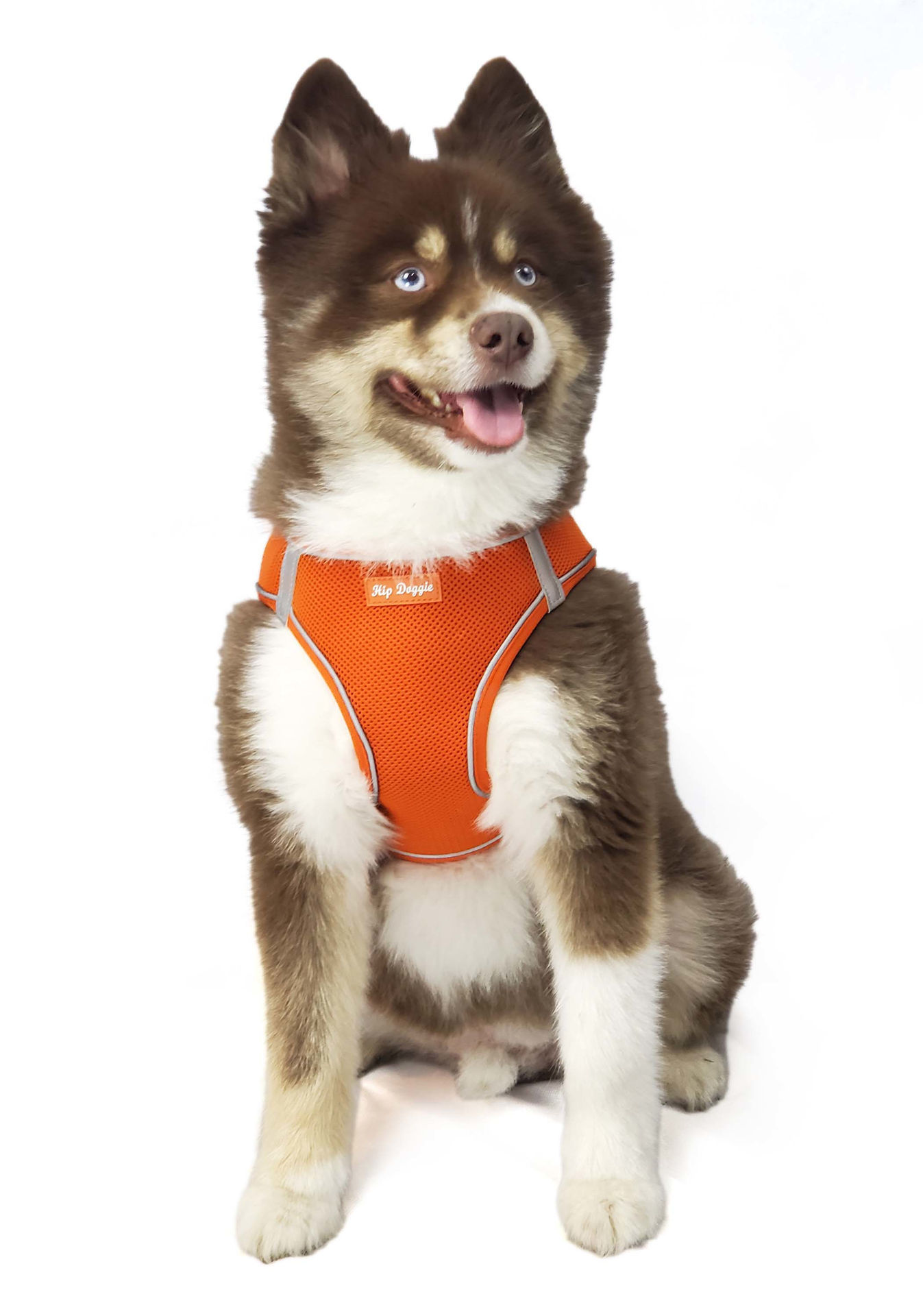 Picture of EZ Step-In Harness Vest - Orange