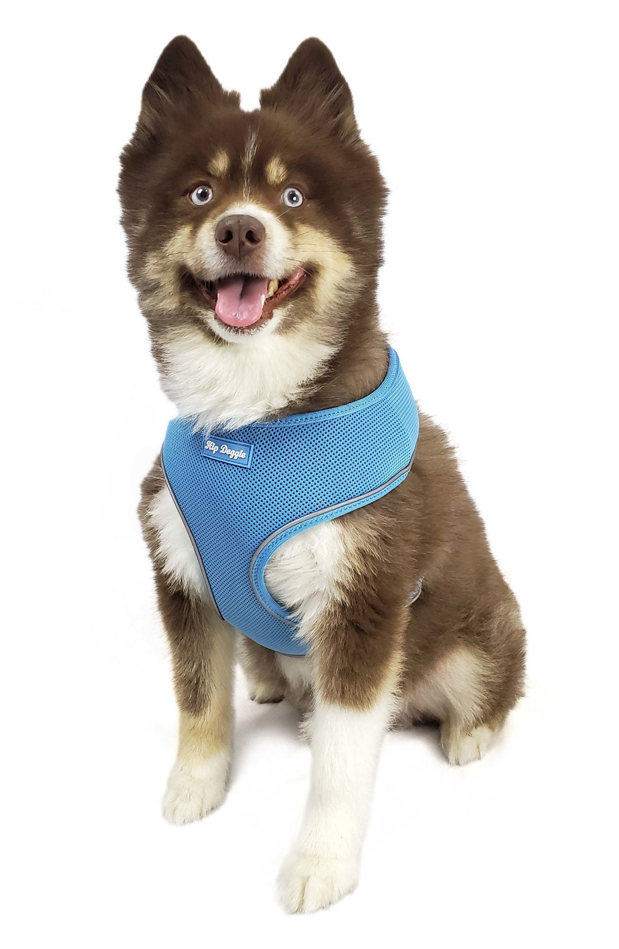 Picture of Ultra Comfort Reflective Harness  - Light Blue