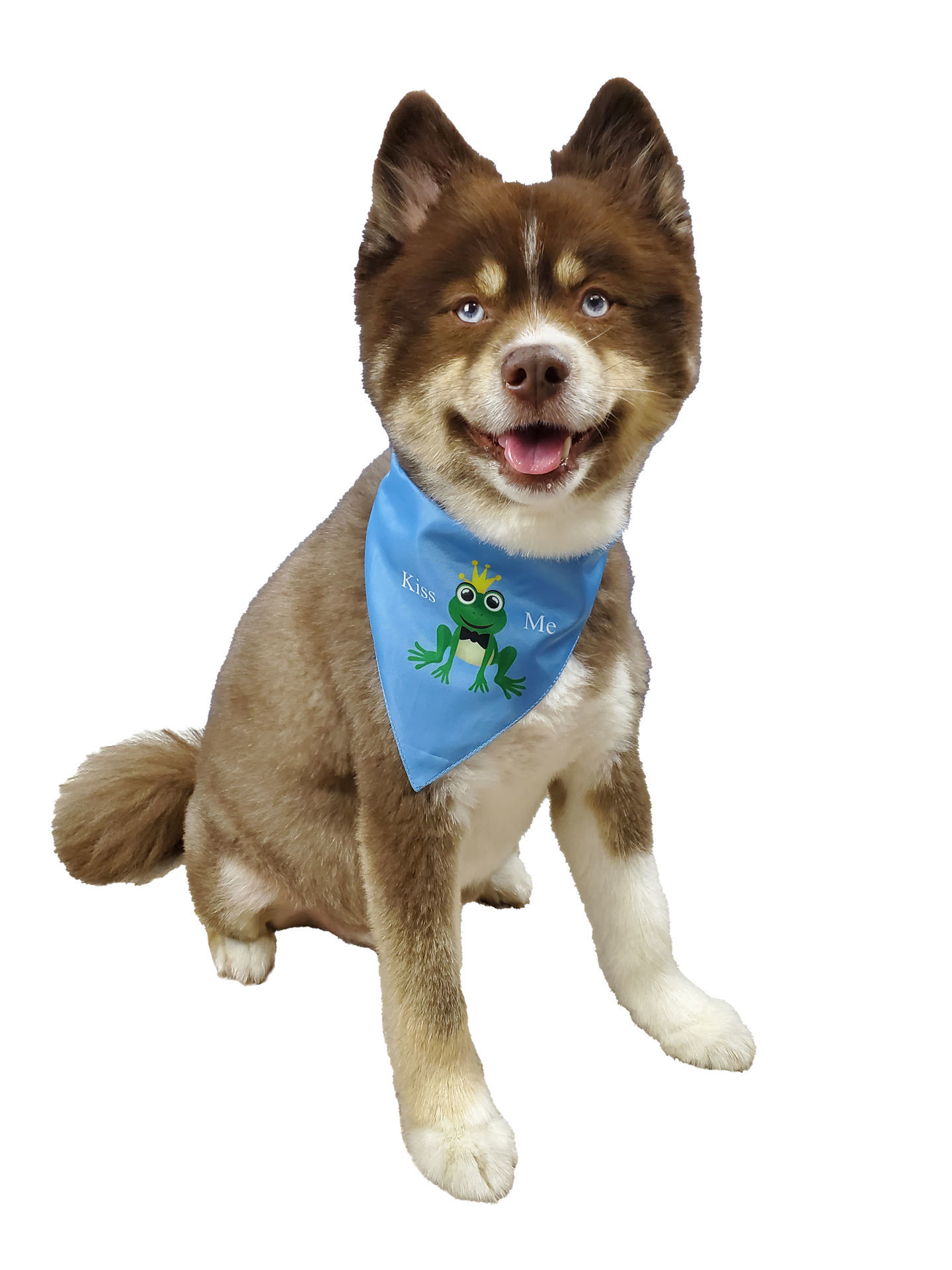 Picture of Two Sided Bandana - Prince Bandana