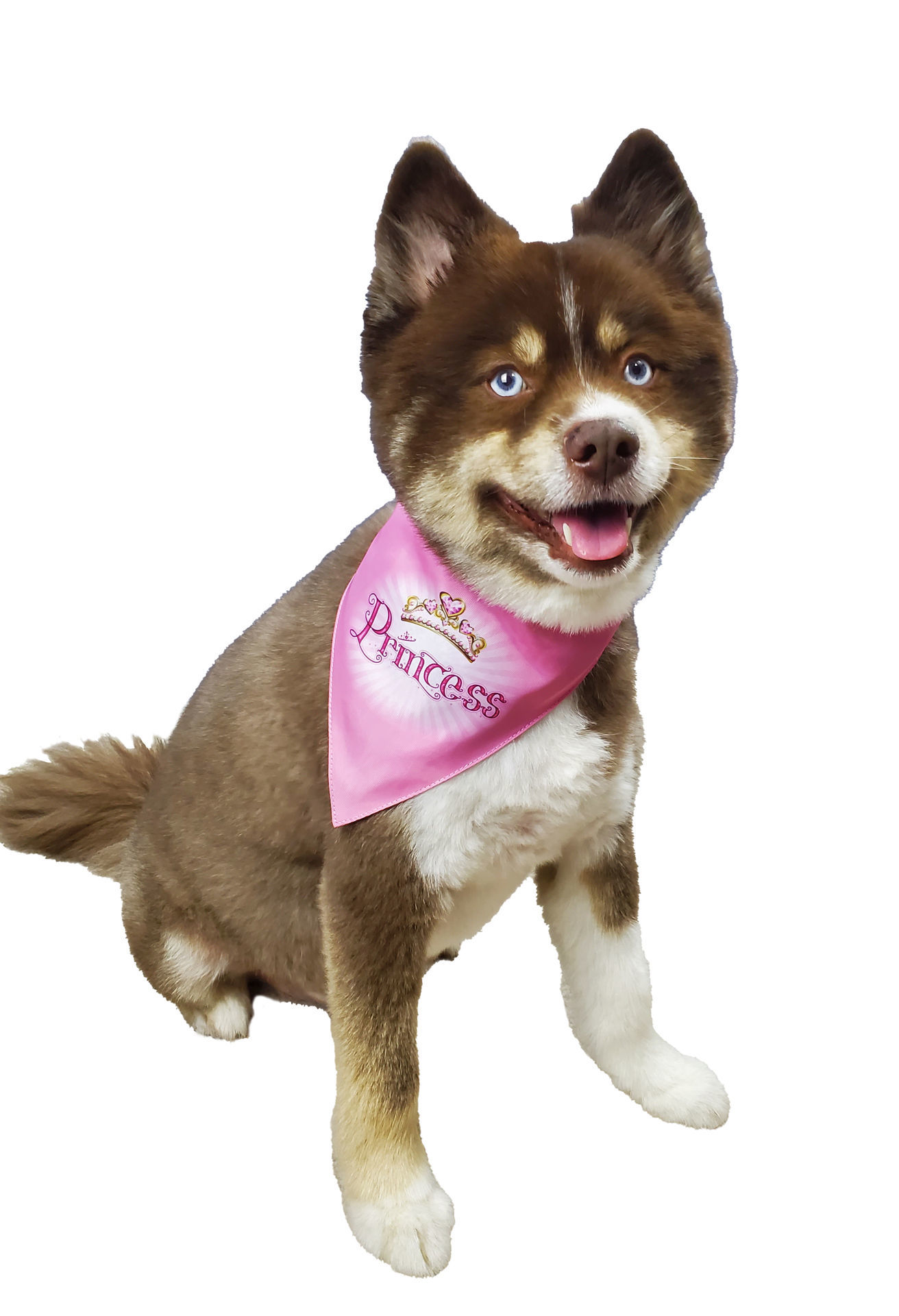 Picture of Two Sided Bandana - Princess Bandana