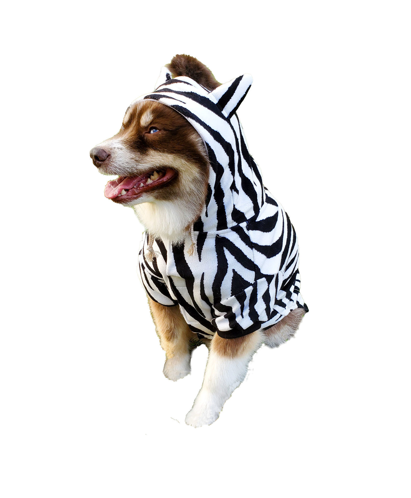 Picture of Zebra Costume