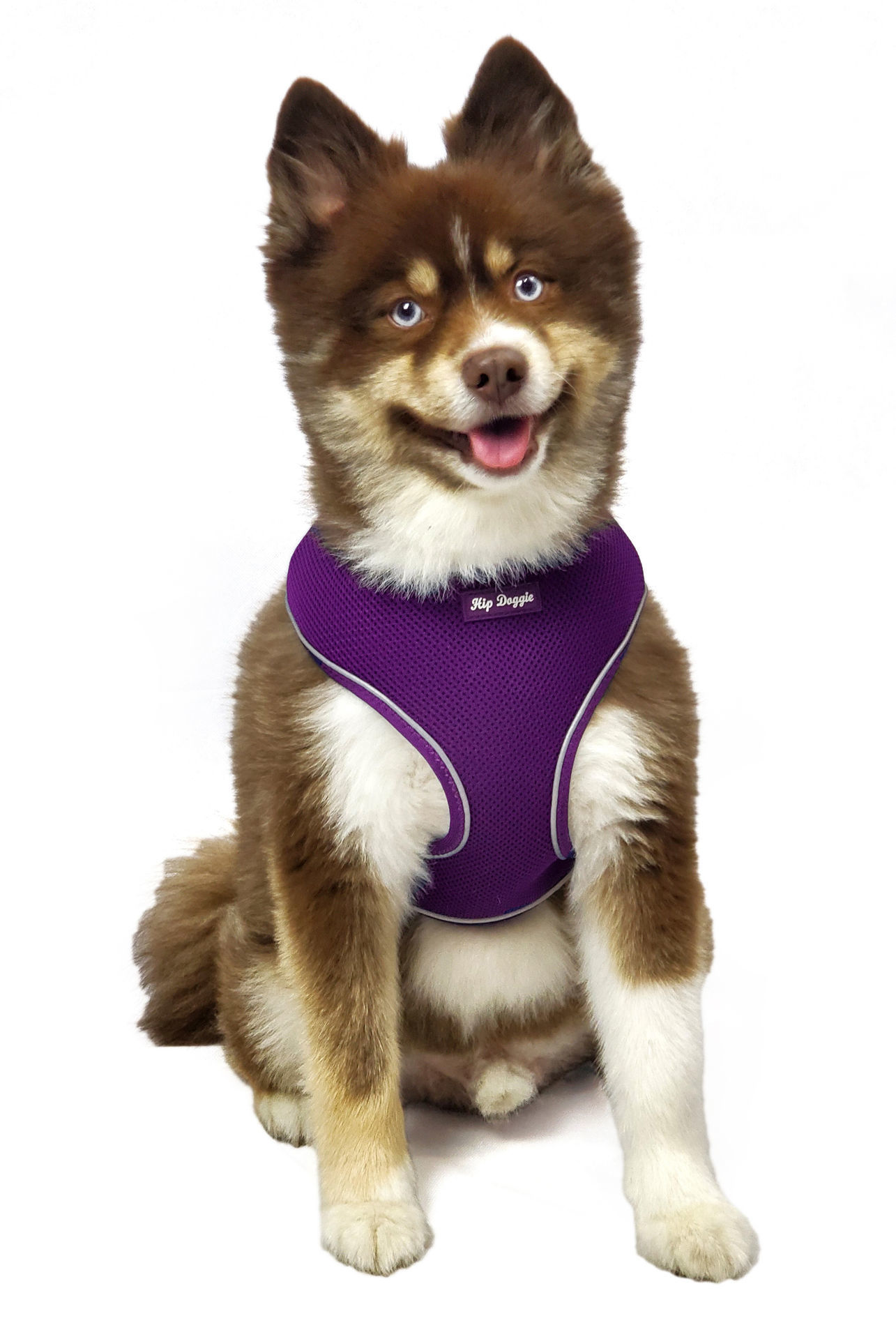 Picture of Ultra Comfort Reflective Harness  - Purple