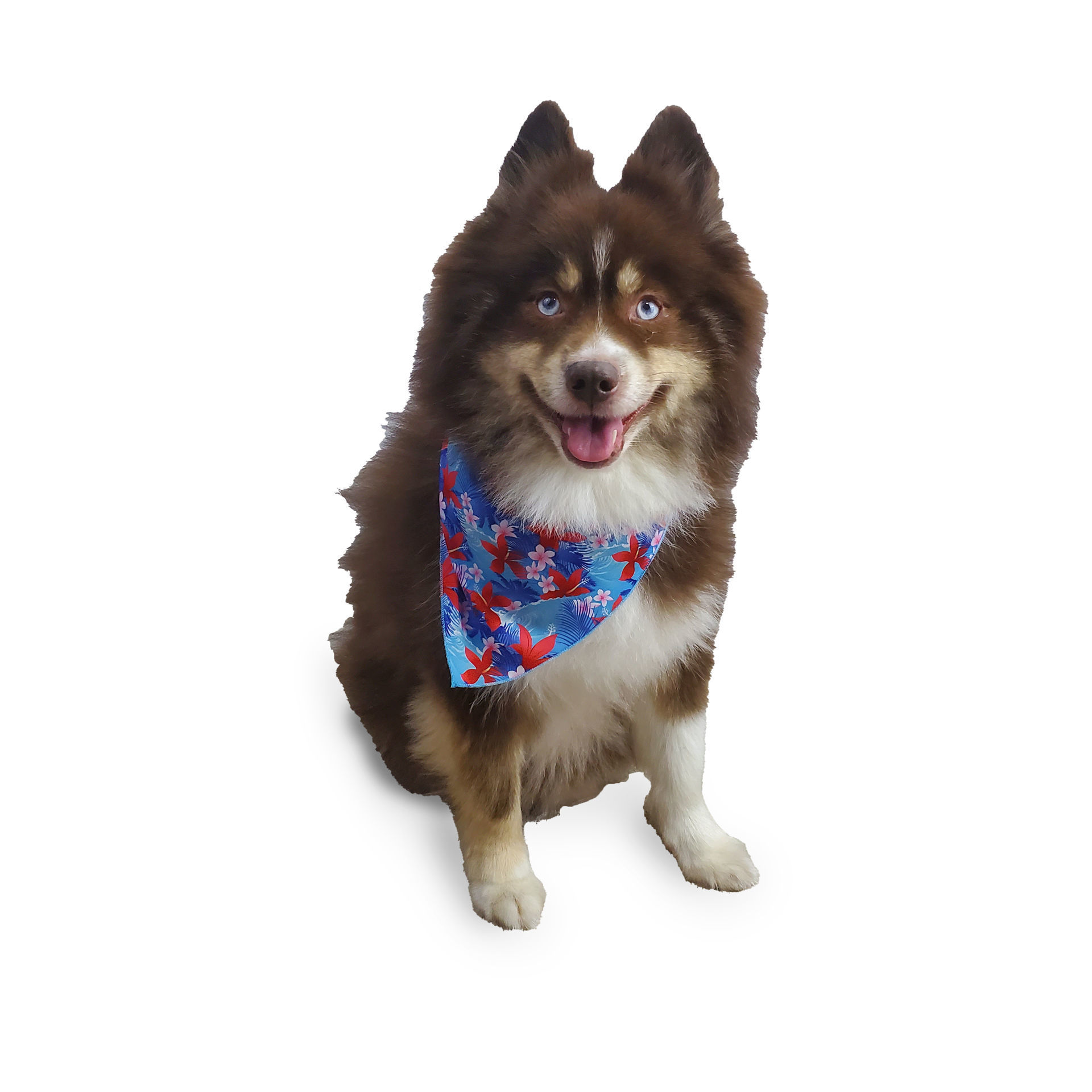 Picture of One Sided Bandana - Hawaiian Tied Bandana (Blue)