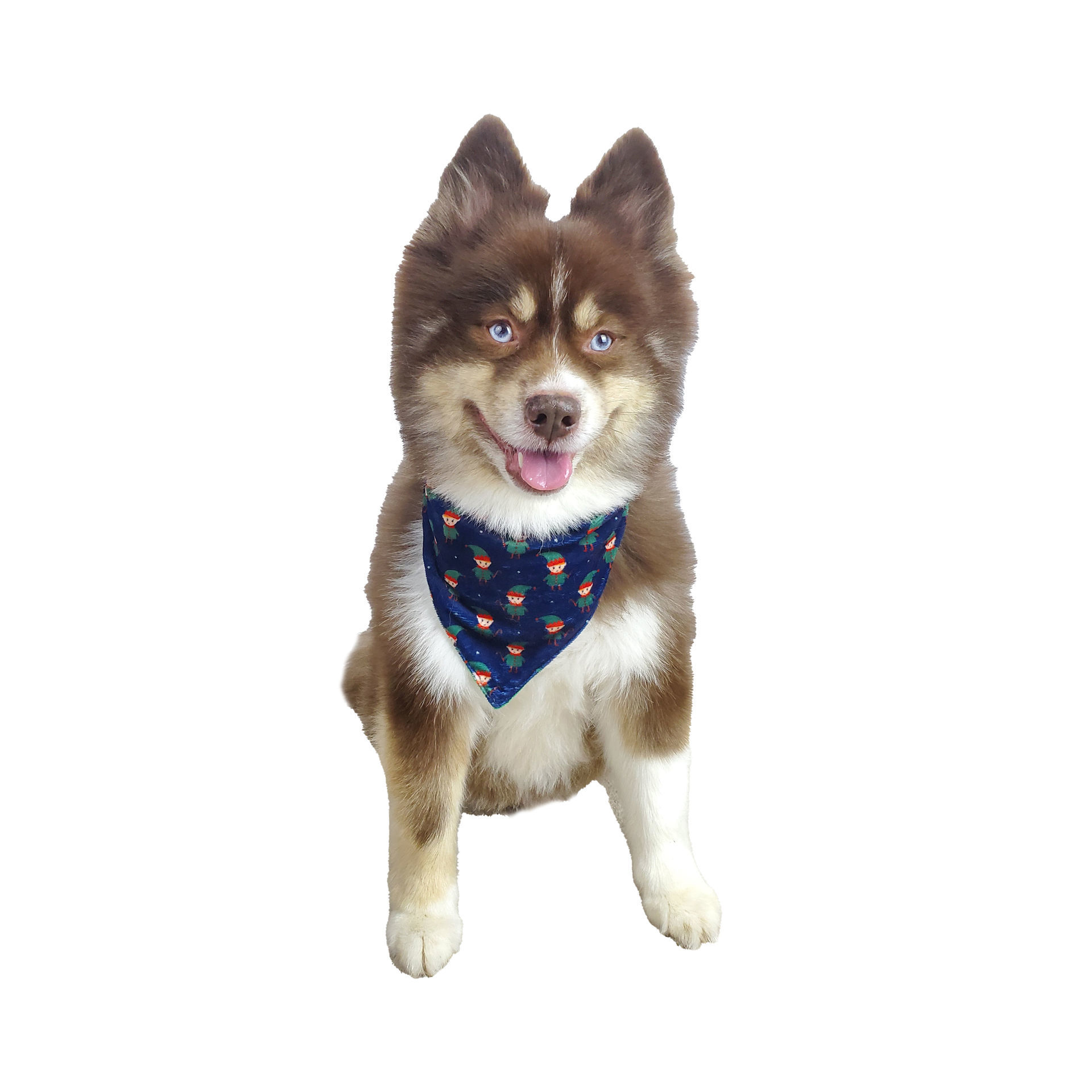 Picture of Two Sided Bandana – Elf
