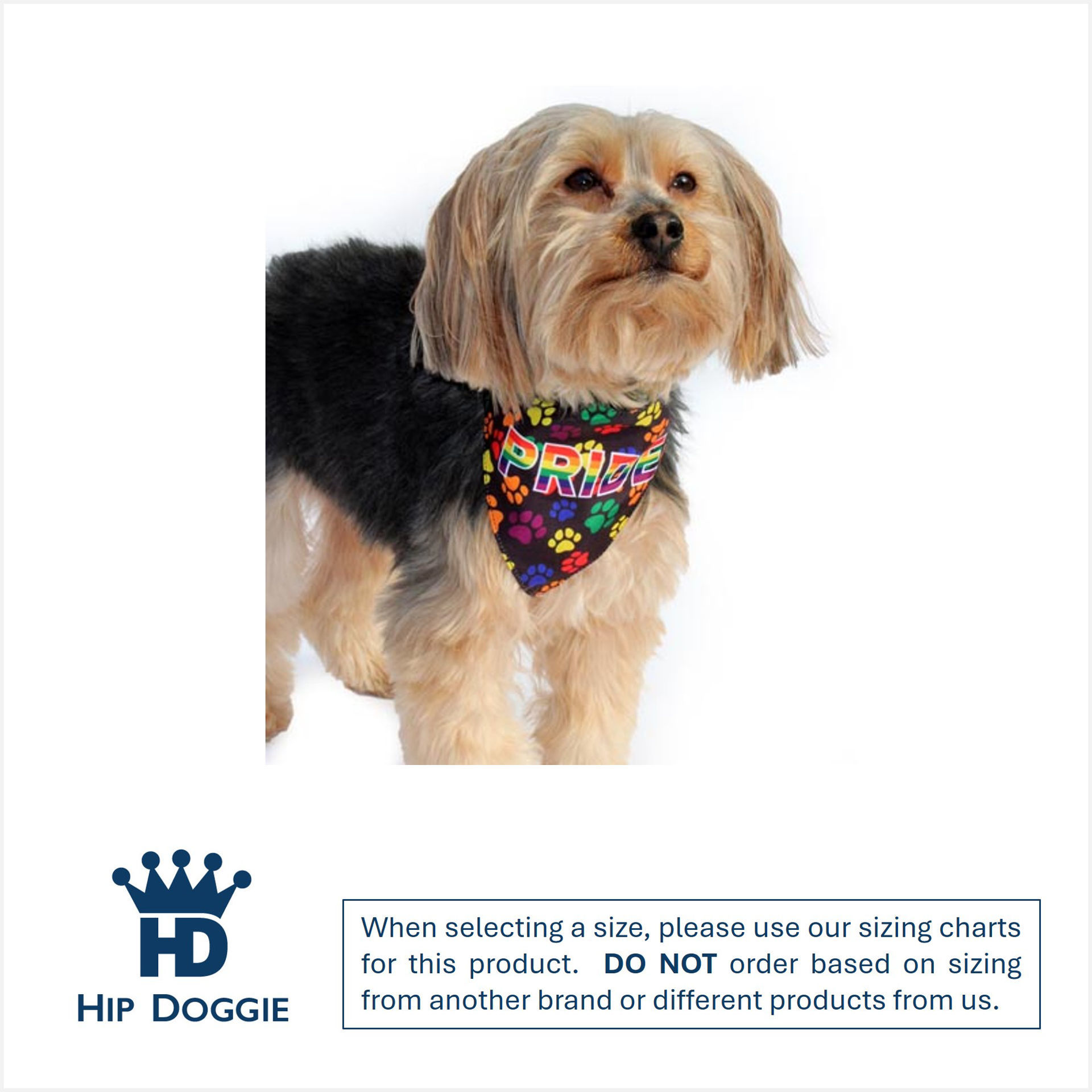 Picture of Two Sided Bandana - Pride