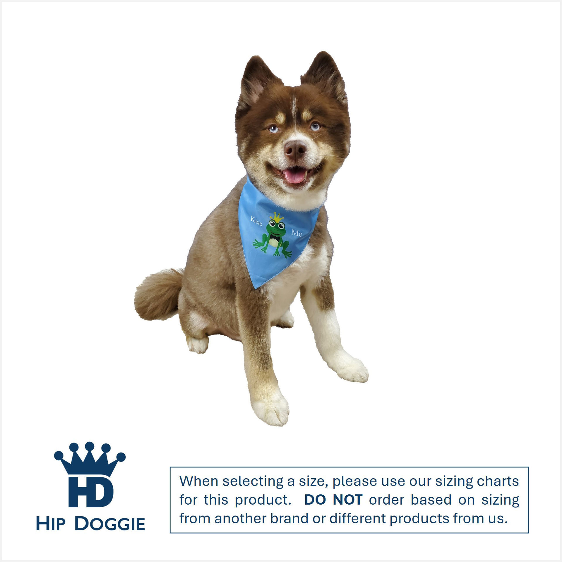 Picture of Two Sided Bandana - Prince Bandana